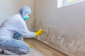 Best Mold Odor Removal Services  in Irvington, NY